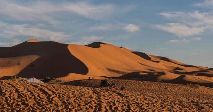 Bob Hope Bing Crosby road to Morocco desert on Hollywood tours